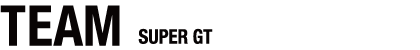 TEAM SUPER GT